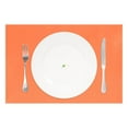 thumbnail image 2 of Ryvnso Placemats Set of 4 Orange Background Dining Mats Heat-Resistant Non-Slip Washable Table Mat, 2 of 8