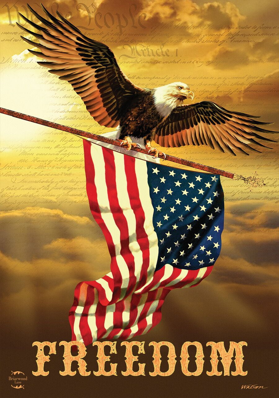 Toland America The Beautiful 12.5 x 18 Rustic Eagle Patriotic Stars  Garden Flag 