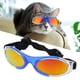 thumbnail image 4 of Gafas de Sol de Perros, Diseño Profesional de Copas para Perros para al aire libre, 4 of 7