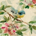 thumbnail image 2 of Robinson, Carol 20x20 White Modern Wood Framed Museum Art Print Titled - Spring Birds I, 2 of 4