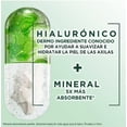 thumbnail image 3 of Antitranspirante Garnier Obao dermo eficacia roll-on hialurónico cuidado intenso 65 g  2 Pack, 3 of 4