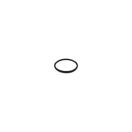 Filter Head O-ring - Hayward CXFHR1001 O-Ring for Filter Head