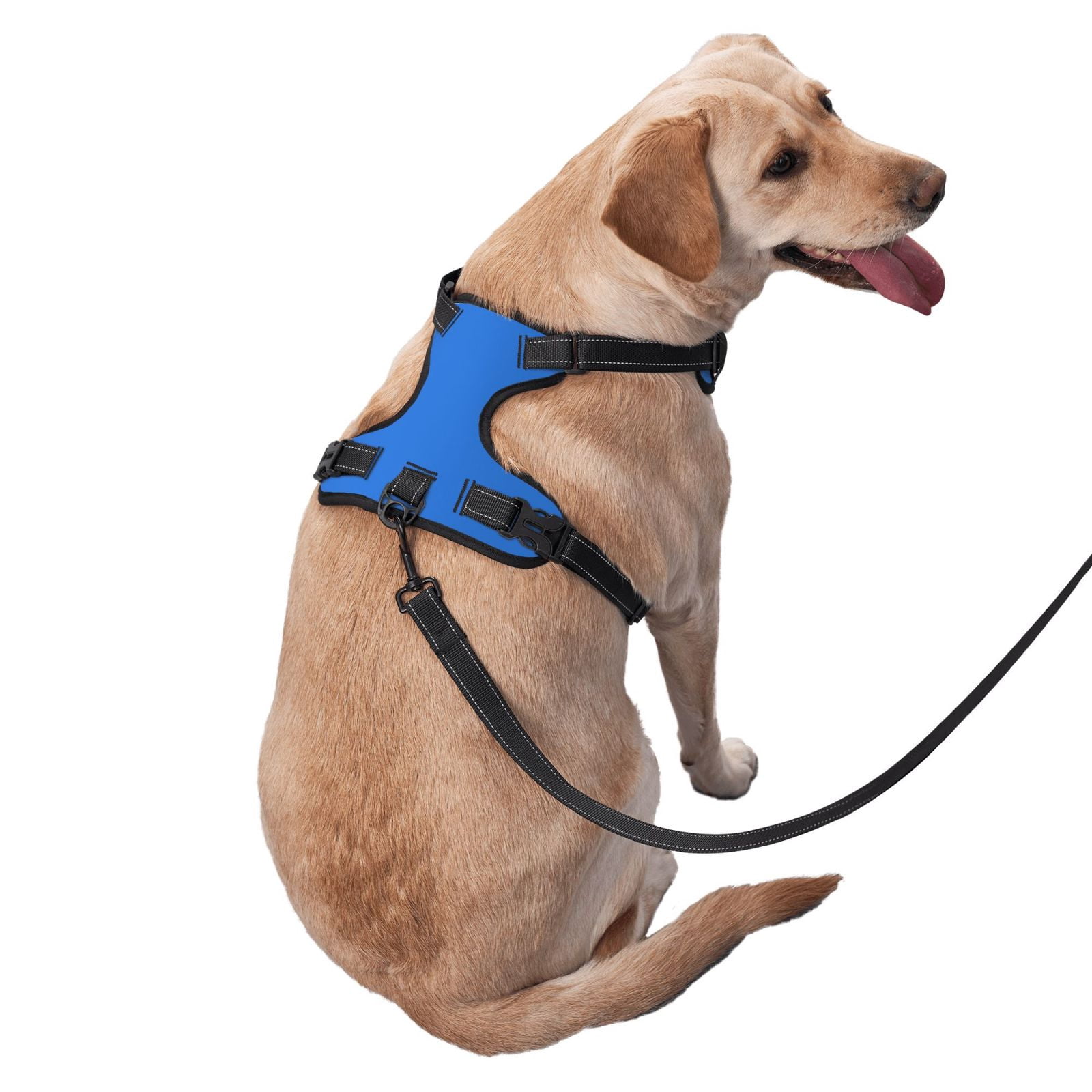 Fuzoiu Dodgerblue Print Reflective Dog Harness,Adjustable, Breathable Pet Vest,Dog Harness No Pull,No Choke Pet Vest for Small, Medium, and Large Dogs-Large