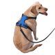 thumbnail image 2 of Balery Dodgerblue Arnés para Perros Grandes Antitirones, Arnés con Correa para Gato, Arnés Tipo Chaleco para Perros Pequeños-X-Large, 2 of 6