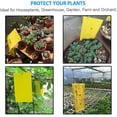 thumbnail image 2 of Paquete de 30 trampas adhesivas amarillas para insectos de plantas voladoras como hongos, moscas blancas, áfidos, minadores de hojas (bridas giratorias incluidas) Adepaton WMZL-514-2, 2 of 7