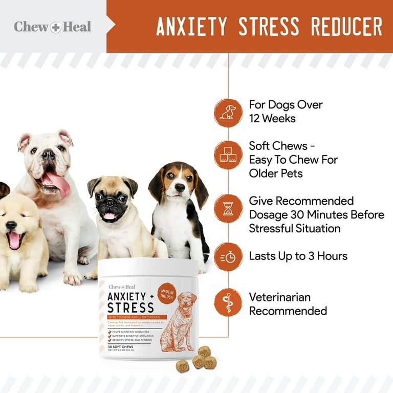 10 Tech Products to Help Your Dog's Anxiety