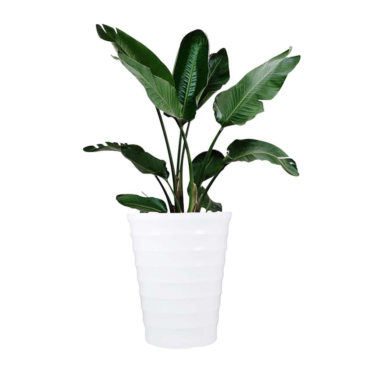 Set of 2 Indoor Plant Pot Large Pots Outdoor Durable Planter