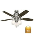 thumbnail image 2 of Hunter - Donegan Indoor Ceiling Fan With Light, 44-inch, Brushed Nickel, Rustic-style, 3-speed WhisperWind Motor, 52230, for living rooms, bedrooms, home offices, kitchens, 2 of 13