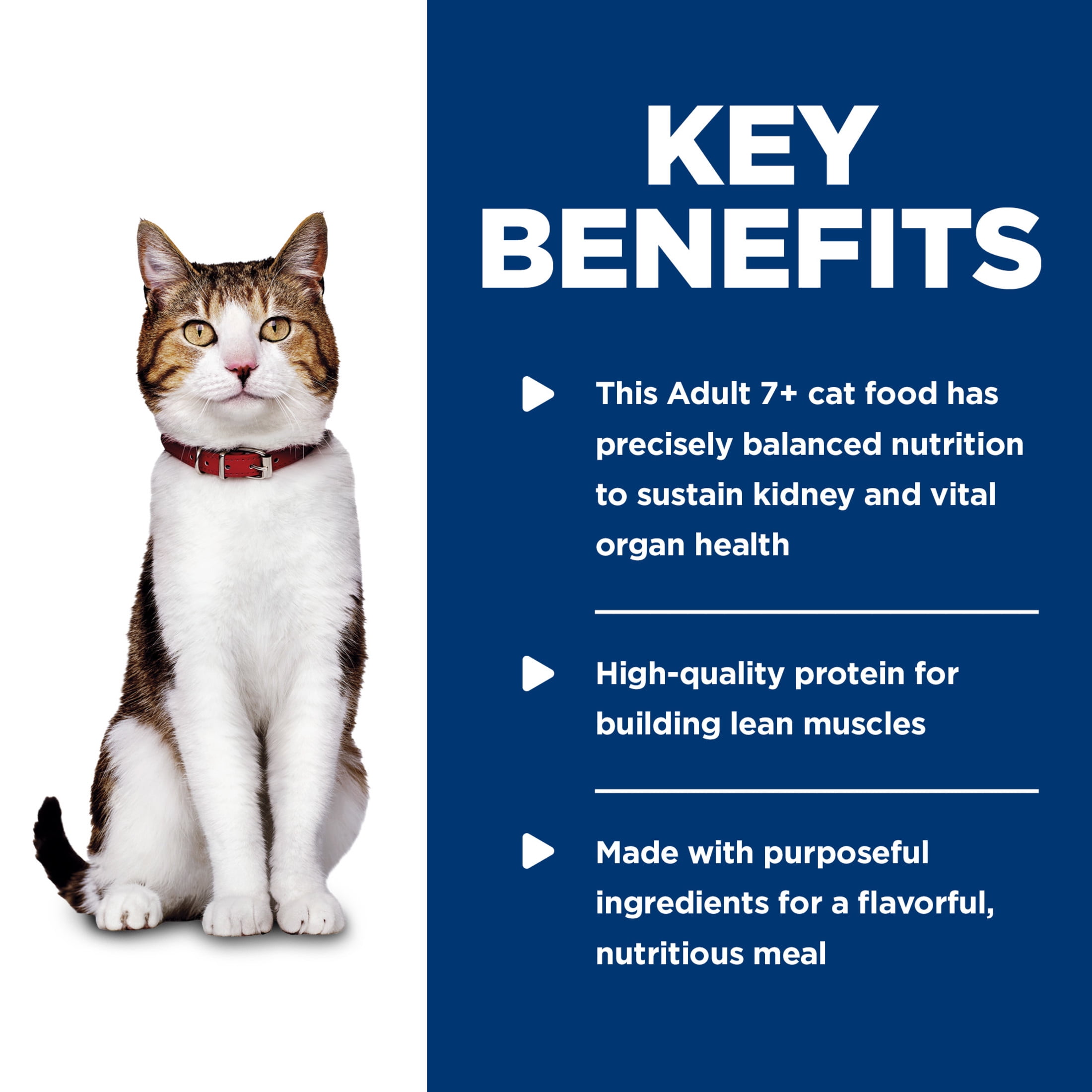 Hill's Science Diet Savory Chicken Wet Cat Food for 7+ Senior Cats, 5.5oz Can 24pk