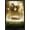 Black Framed Version, variant on The Lord of the Rings: The Fellowship of the Ring (2001) - Group One Sheet Wall Poster, 14.725" x 22.375"