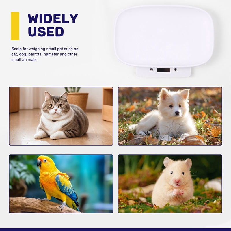 Digital Scale Pet Electronic Weighing Scale Mini Grams Weight Balance Scak11206