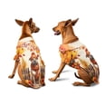 thumbnail image 3 of Happy Thanksgiving Pitbull Give Thanks Fall Beanie Scarf Welcome Hawaiian Summer Shirt for Small Medium Large Dog Cat Terrier Dog Lover - 00020, 3 of 6