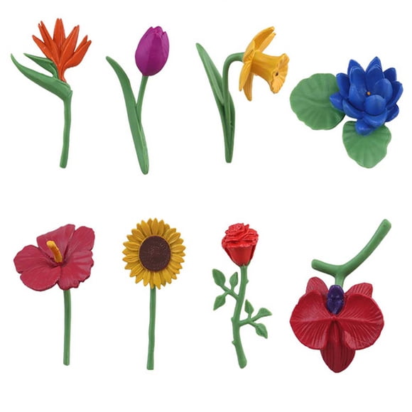 Figurines de Fruits et Légumes du Cycle de Vie Activités d'Apprentissage Préscolaire Aide Pédagogique Jouets Éducatifs Cadeaux pour Garçons Filles