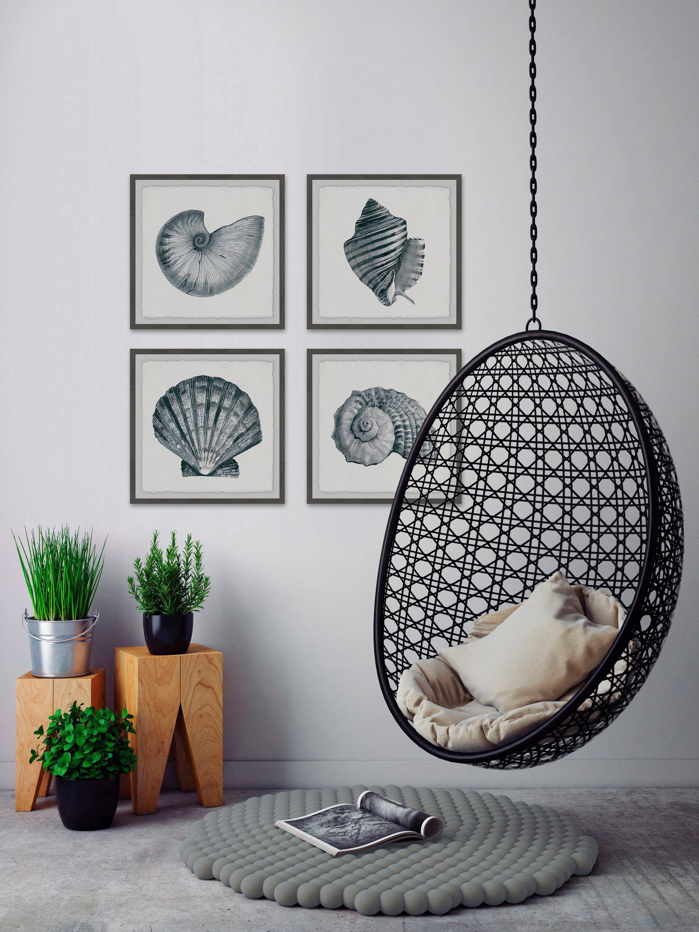 Gray Sea Shells Quadriptych