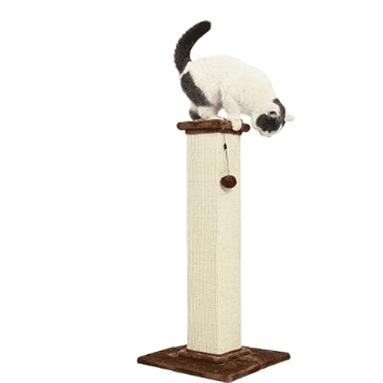 Basics Cat Scratcher - Indoor Classic Single Cat & Kittens Scratching Post with Sisal Rope, Jute Fiber, Large (35.4"H) - Brown