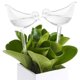 thumbnail image 5 of Riego Automático Naiovety 85ML PVC Transparente Jardín Maceta Planta, 5 of 6