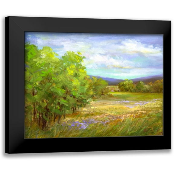 Finch, Sheila 14x12 Black Modern Framed Museum Art Print Titled - Meadow Flowers