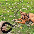 thumbnail image 2 of Dog Leash 10m, Long Rope Dog Leash with Padded Handle for Small to Large Dogs, Black, 2 of 5