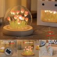 thumbnail image 2 of Lámpara LOGAZOO Tulip Night Light con cúpula de cristal de 10 cm, 2 of 9