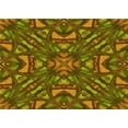 thumbnail image 1 of Ahgly Company Machine Washable Indoor Rectangle Transitional Dark Bronze Brown Area Rugs, 2' x 4', 1 of 7