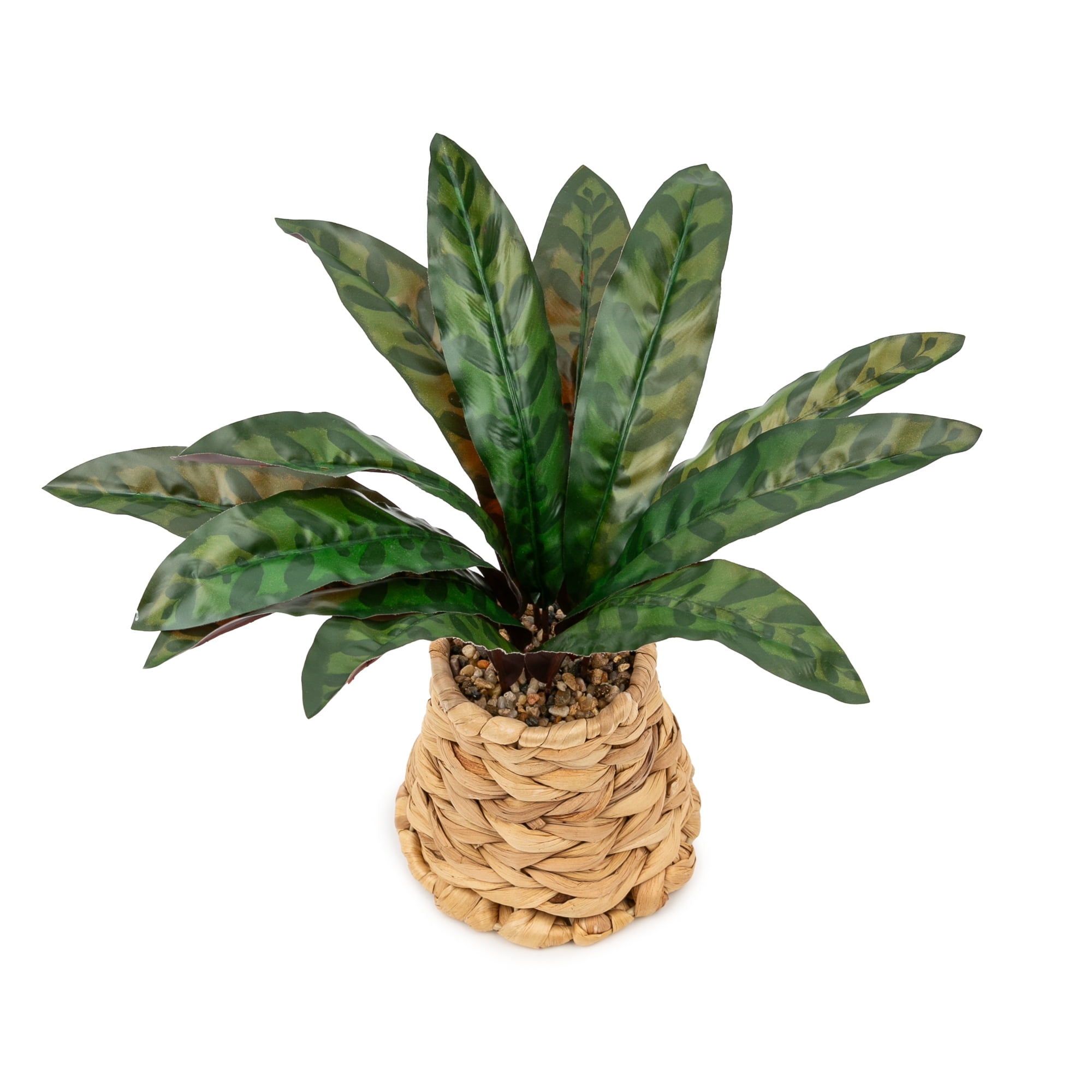 Better Homes & Gardens Artificial Rattlesnake Plant in Rattan Vase, 13"