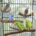 thumbnail image 2 of Juguetes de madera de pájaros pequeños libres de olores 6 piezas juguetes para loros Budgies macaws Feliz Sencillez, 2 of 5