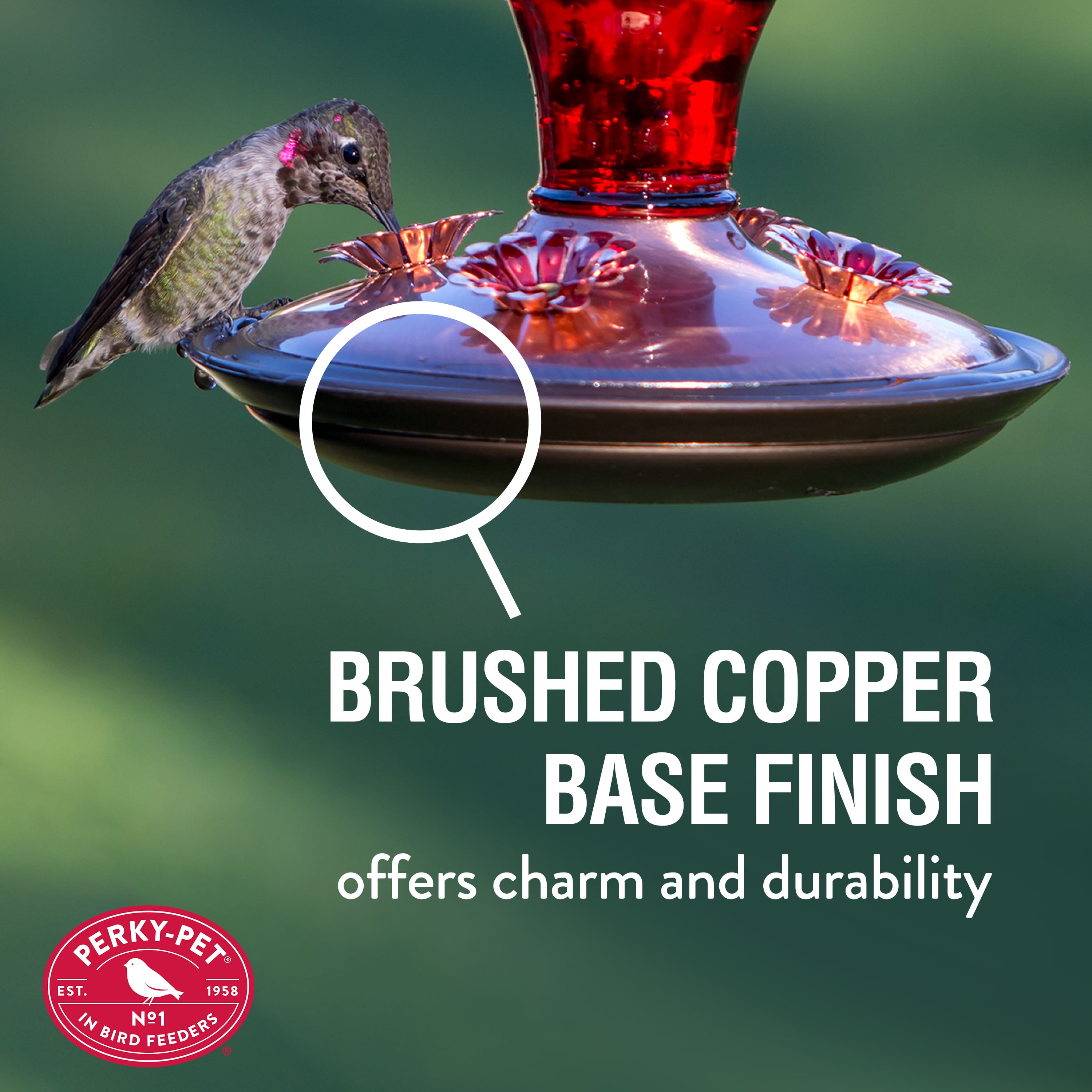 Garden Antique Red Glass Hummingbird Feeder Nectar Bird Supply Perky-Pet 24 oz 
