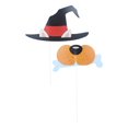 thumbnail image 3 of Halloween Photo Props - Colorful, 3 of 5