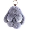 thumbnail image 1 of ER Llavero - Gris Claro Felpa Conejito De Pascua Llave Pompón De Piel Suave Lindo Muñeco De Animal Esponjoso Juguete Niña Pequeño Regalo Mujer Monedero Adorno Bolsa Encanto Colgante De Coche oso de fresa Electrónica, 1 of 5