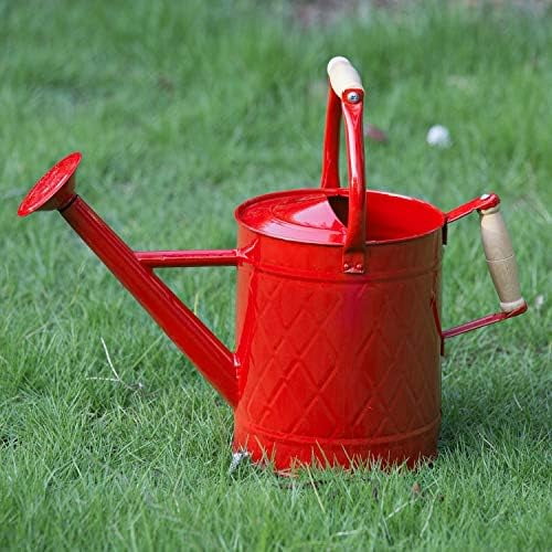 1 Gallon Watering Can, Red, Galvanized, Metal Watering Can with Removable Spout, Perfect Water Can for Indoor & Outdoor Plants