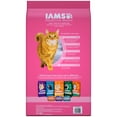IAMS PROACTIVE HEALTH Adult Healthy Digestion Dry Cat Food with Chicken