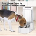 thumbnail image 5 of Automatic Pet Water Dispenser with Stainless Steel Bowl, Gravity Waterer, Angular Water Feeder for Small to Large Dogs and Cats (White, 8L Without Filter), 5 of 7