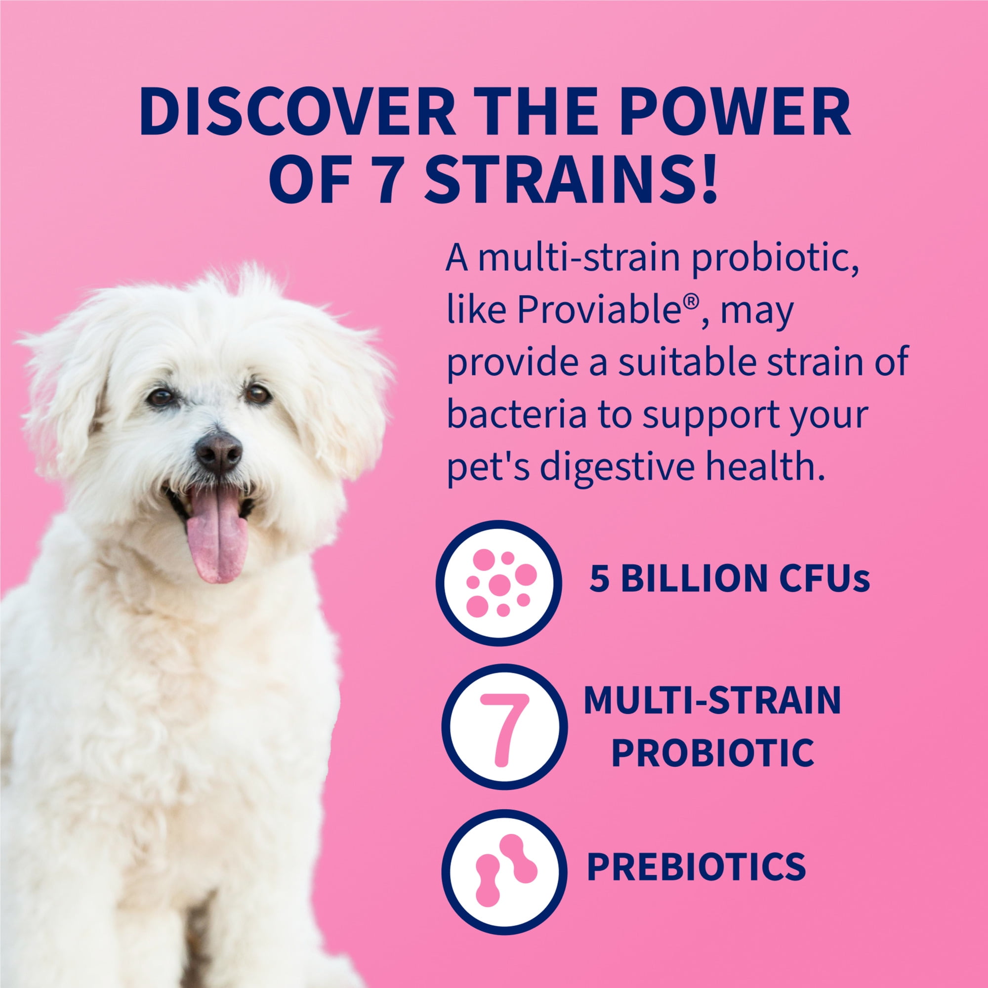 Nutramax Proviable Digestive Health Supplement DC Capsules for Cats and Dogs, 30 Count