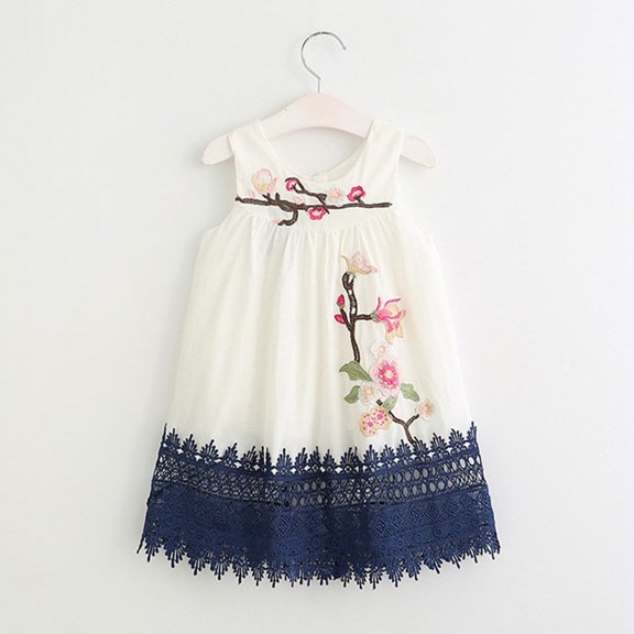 SDJMa Girls and Toddlers' Dress Toddler Kids Baby Girls Flower Embroidery Lace Party Pageant Princess Vest Dress