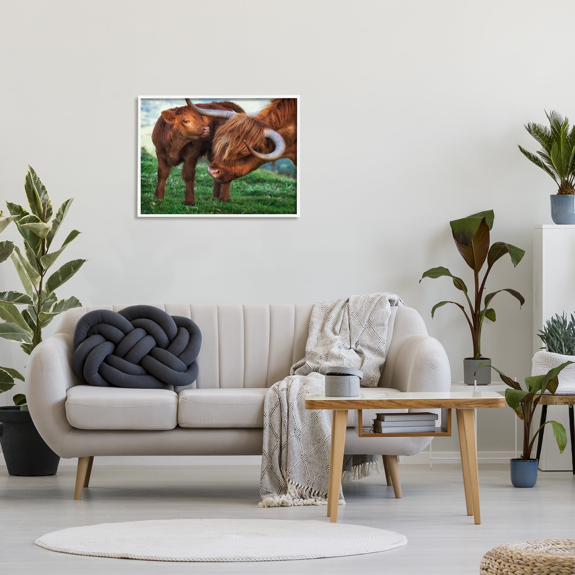 Stupell Industries Loving Longhorn Cattle Nuzzling Calf Heartwarming Animals Photograph White Framed Art Print Wall Art, Design by James Dobson