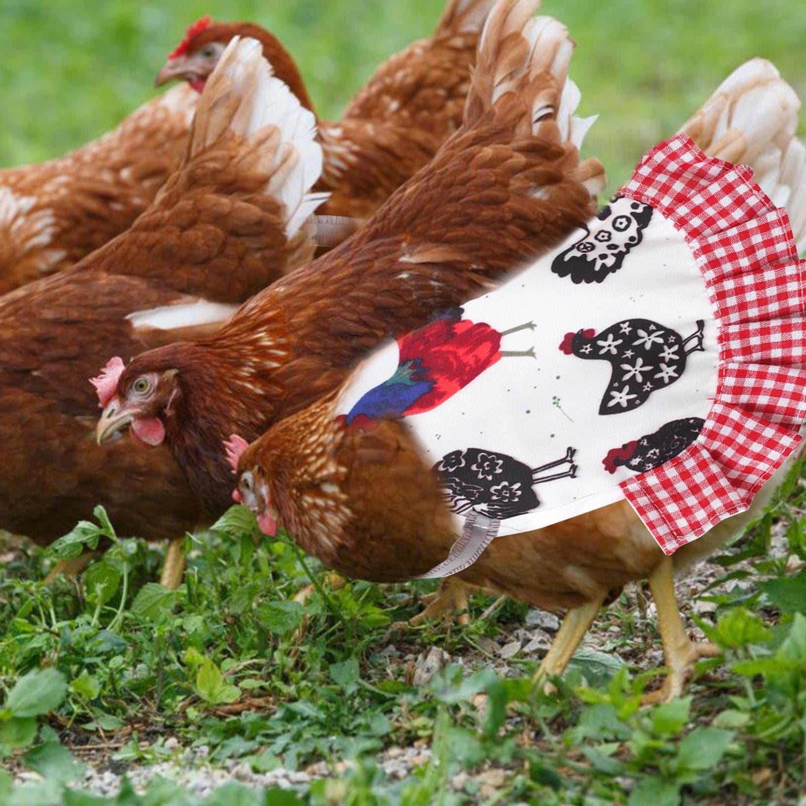 12 SUPER WIDE & LONG CHICKEN SADDLE APRON HEN FEATHER PROTECTION HATCHING EGGS 