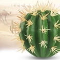 thumbnail image 3 of Cactus-Style Car Antenna Topper with Realistic Design, Quick Installation, and Assisted Car Search Function for Most Car Models, 3 of 8