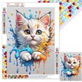 thumbnail image 1 of Con Cuentas Cuadradas 5D Cgtredaw DIY Tinta Color Del Gato Lindo 30x40cm, 1 of 9