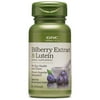 GNC Herbal Plus Bilberry Extract and Lutein Supplement, Vegetarian, Supports Eye and Vision Health, 60 Capsules, 60 Servings