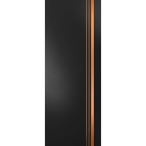 Slab Barn Door Panel 30 x 80 inches | Planum 1010 Matte Black with Frosted Glass | Sturdy Finished Interior Doors | Pocket Closet Sliding