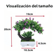 thumbnail image 3 of Árbol Bonsaí Artificial Con Maceta Hogar Y Oficina flores blancas Belug,  Blanco, 3 of 4