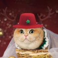 thumbnail image 4 of Adornos navideños Bocqde, gorro navideño con astas para mascota, peluche mediano de Shiba Inu, bonito disfraz para regalar en Navidad., 4 of 6