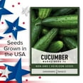 thumbnail image 5 of Cucumber Seeds for Planting - Marketmore 76 - Cucumis sativus Heirloom, Non-GMO Vegetable Variety- 1 Gram Seeds Great for Outdoor Gardening by Gardeners Basics, 5 of 7