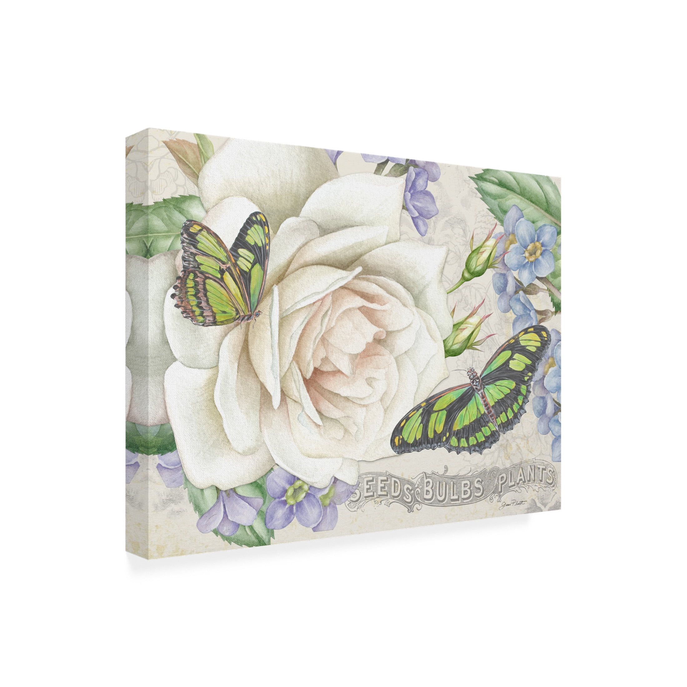 Canvas Wall Art - Jean Plout 'Rose Garden in Bloom D' Wall Art for Living Room, Bedroom, or Office Décor by Trademark Fine Art - 32 x 24 Inches