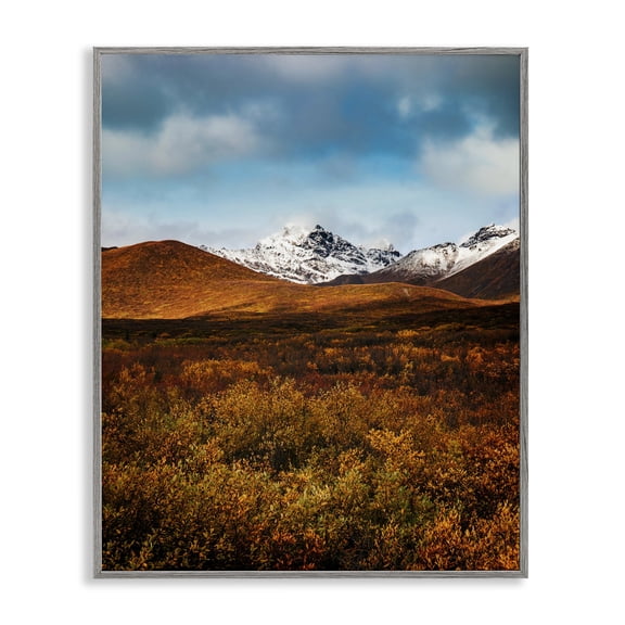 Stupell Industries Farmhouse Icy Mountain Landscape Gray Framed Giclee Art, 16 x 20, by Daniel Sproul