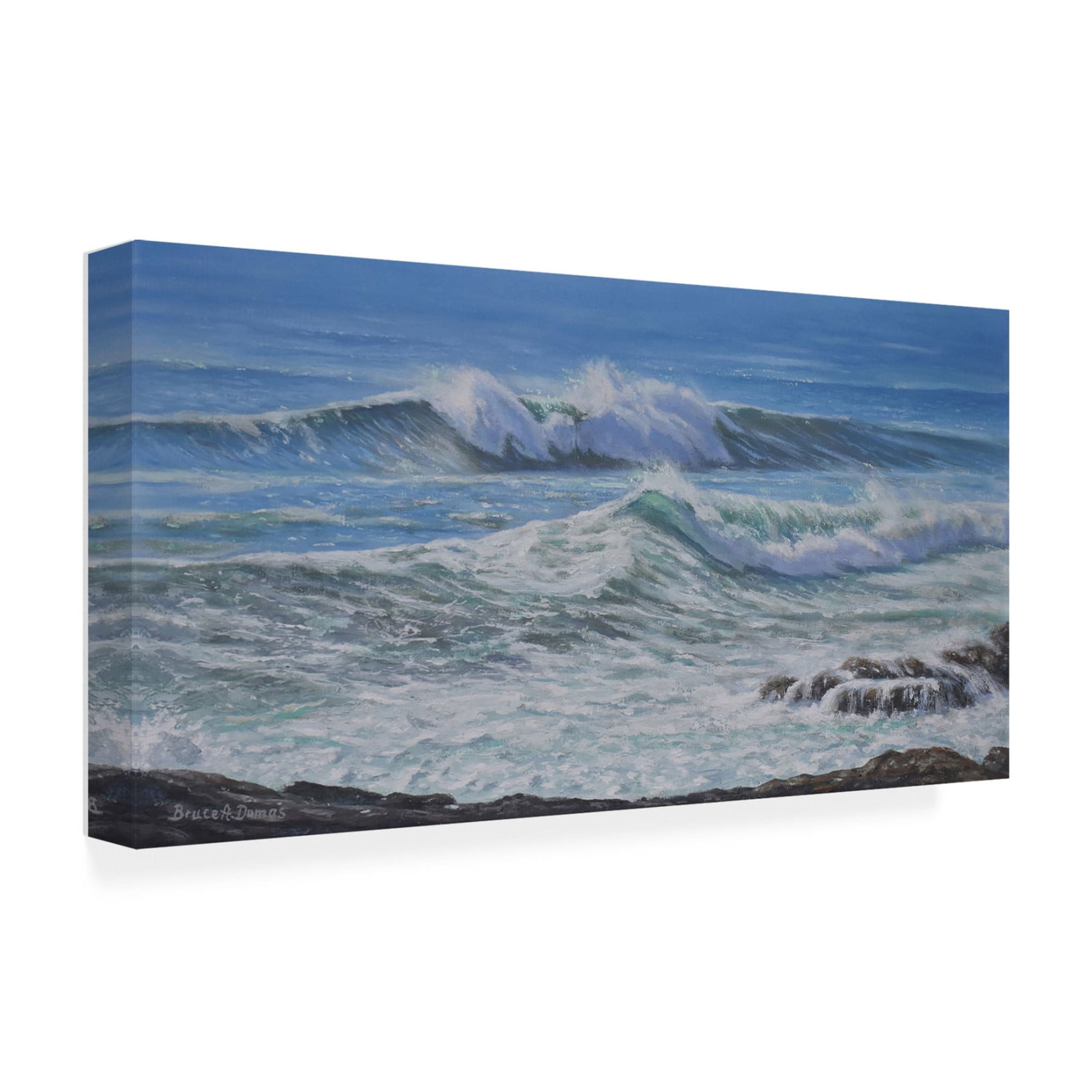 Canvas Wall Art - Bruce Dumas 'Double-Breakers' Wall Art for Living Room, Bedroom, or Office Décor by Trademark Fine Art - 47 x 24 Inches