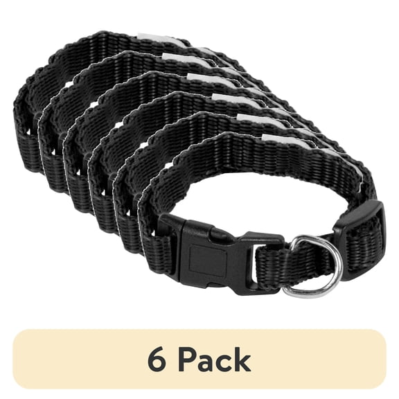 (6 pack) Pet Champion Dog Collar Small Black, 1.0 CT