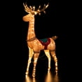 thumbnail image 4 of Northlight Lighted Standing Reindeer Outdoor Christmas Decoration - 60", 4 of 9