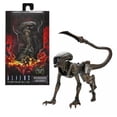 thumbnail image 1 of ALIENS FIRETEAM ELITE FIG SERIES 1 RUNNER ALIEN NECA NECA, 1 of 3