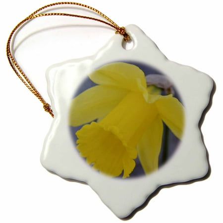 Daffodil Ornament - 3dRose Yellow Daffodil Flower- Spring Photography - Snowflake Ornament, 3-inch